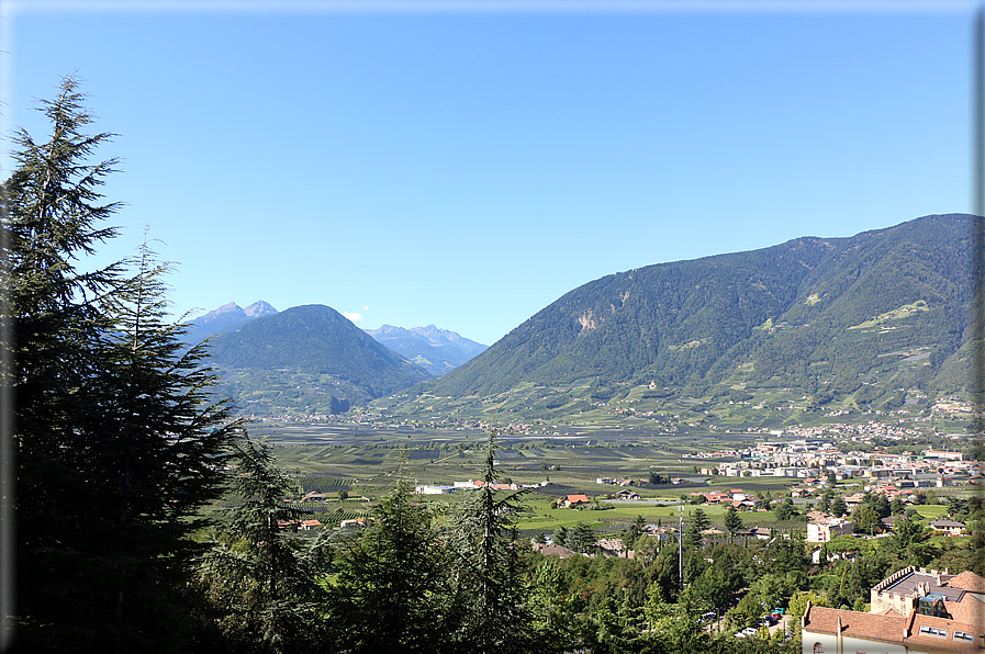 foto Giardini Trauttmansdorff - Boschi del Mondo